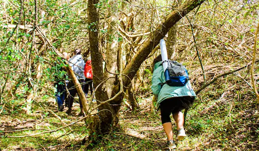 Biodiversidad